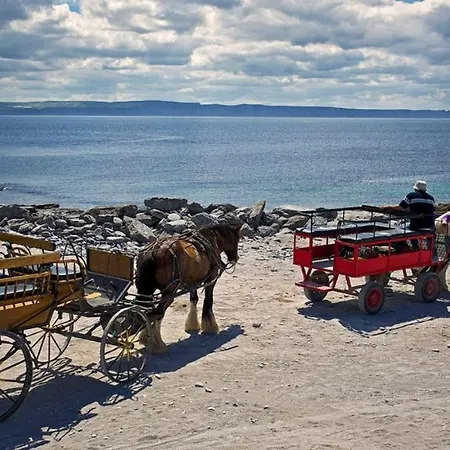 Aran Islands 호텔 킬로난